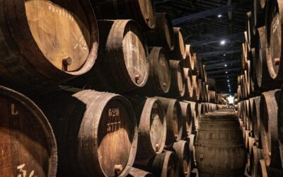 Rentabilidad de la energía fotovoltaica en las bodegas